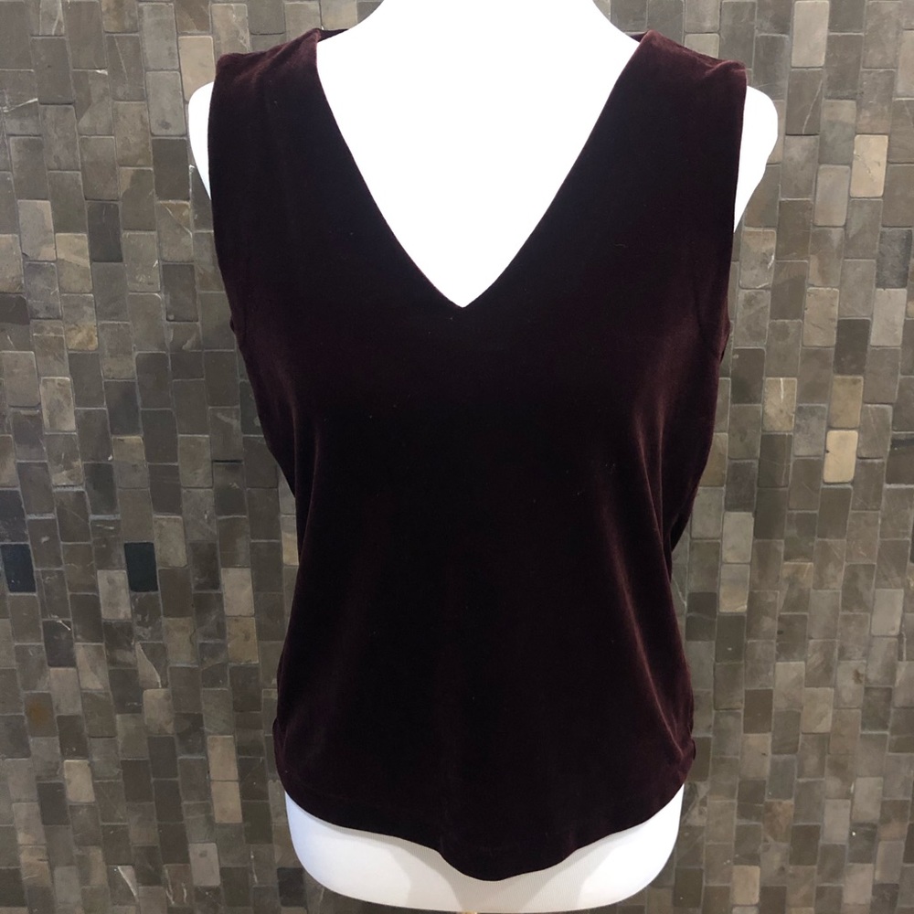 Banana Republic Burgundy Velvet Top